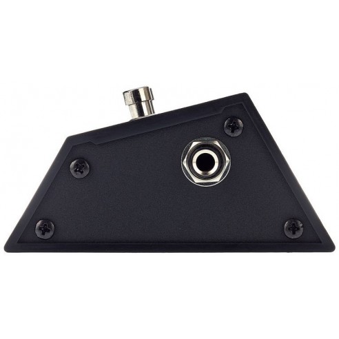 Fender Foot Switch Super Champ...