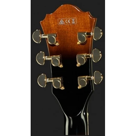 Ibanez AFJ95-VSB