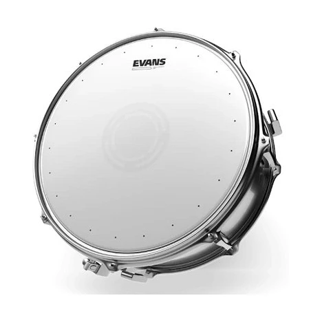 Evans 14" Heavyweight Dry B14HWD