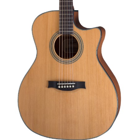 Stanford Radiotone Studio-49-G-Ecw