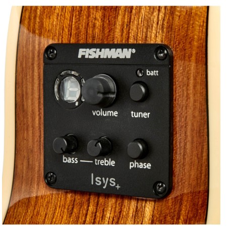Tasman TA100M-EL Mini Jumbo LH