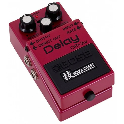 Boss Dm-2W Delay