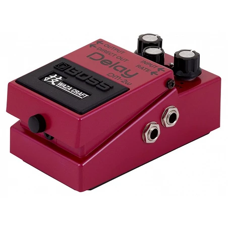 Boss Dm-2W Delay