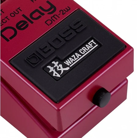 Boss Dm-2W Delay