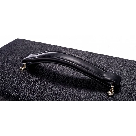 Friedman Runt 20 Cabezal Guitarra