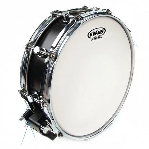 Evans 14" G1 Coated B14G1