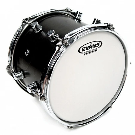 Evans 14" G2 Coated B14G2