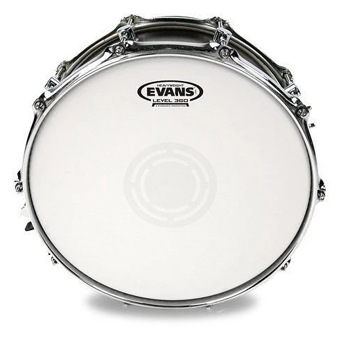 Evans 14" Heavyweight Coa B14HW