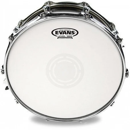 Evans 14" Heavyweight Coa B14HW
