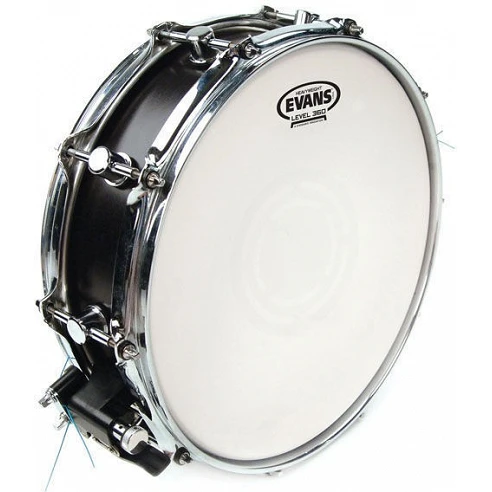 Evans 14" Heavyweight Coa B14HW