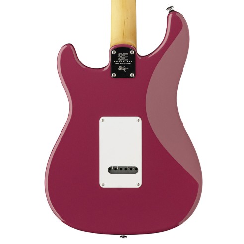 PRS SE Silver Sky Dragon Fruit