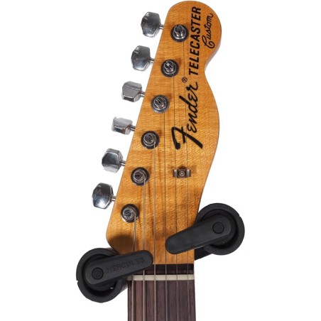 Fender Custom Shop LTD 70S Tele Custom Bigsby J. Rel. PPS