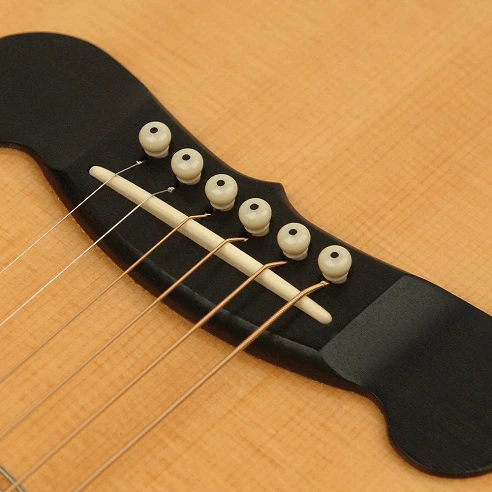 Daddario PWPS12 Plastic Bridge Pins...