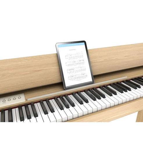 Roland F-701La Roble Mate