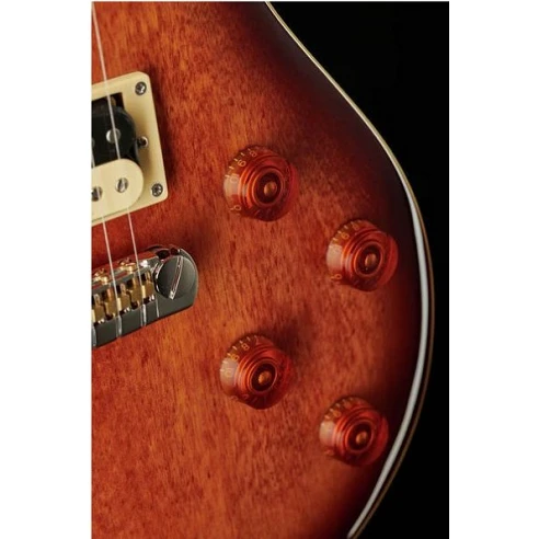 PRS Se 245 Standard TS