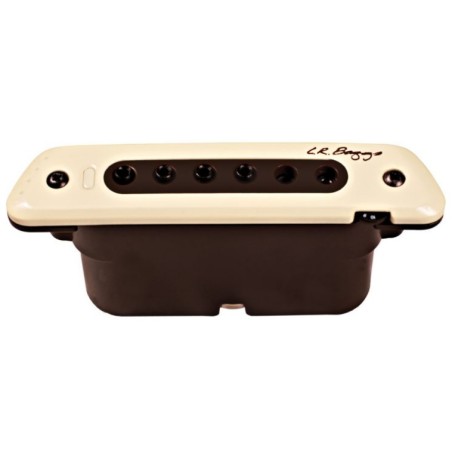 L.R. Baggs M80 Pastilla Acustica