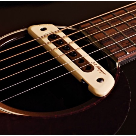 L.R. Baggs M80 Pastilla Acustica