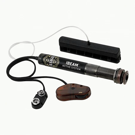 L.R. Baggs Ibeam Pastilla Puente