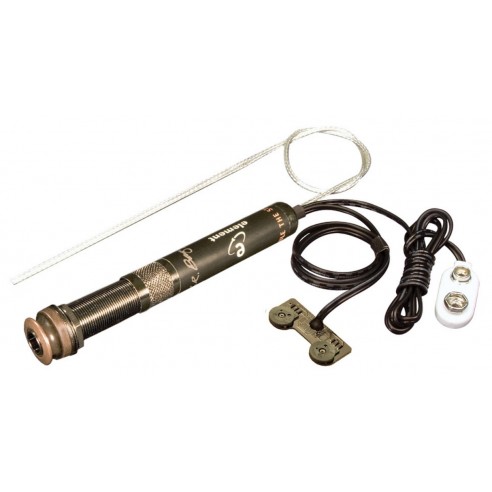 L.R. Baggs Element Act Sys VTC