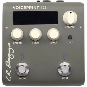 L.R. Baggs Voiceprint
