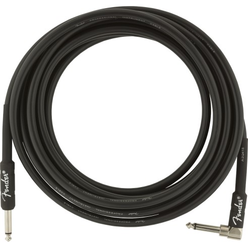 Fender Professional Series Instrument...