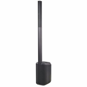Bose L1 Pro 8
