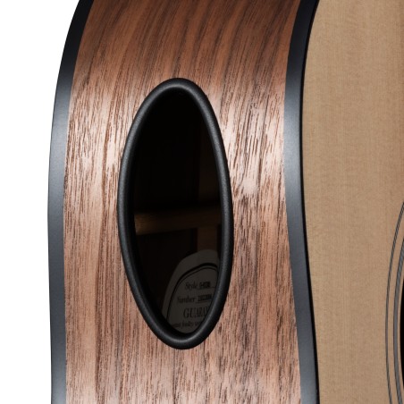 Gibson G-Bird Generation Collection