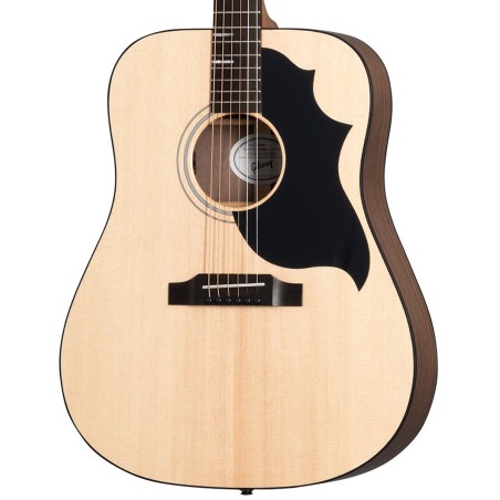 Gibson G-Bird Generation Collection