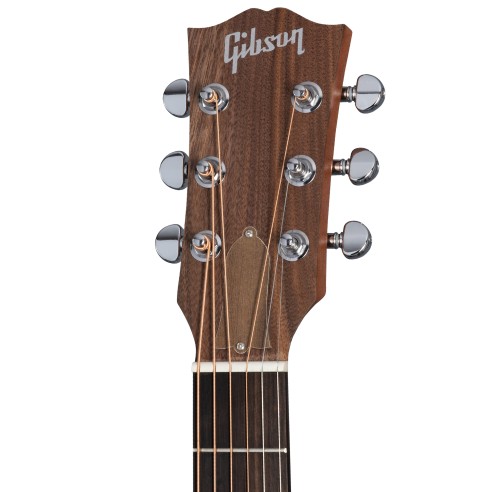 Gibson G-Bird Generation Collection