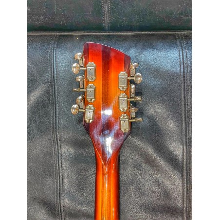 Rickenbacker 381/12 V69 Montezuma Brown Color of the Year '03 *Used