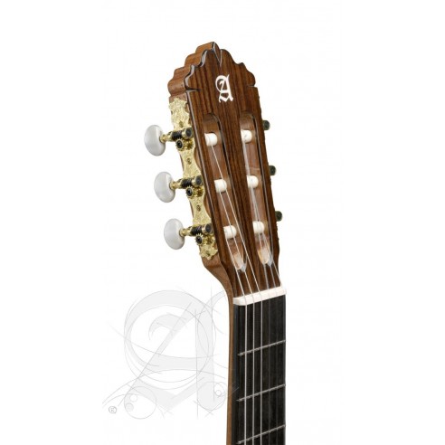 Alhambra 5P Con Funda Guitarra Clásica