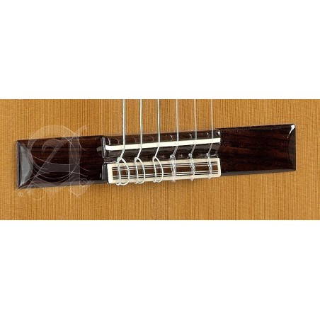 Alhambra 5P Con Funda Guitarra Clásica