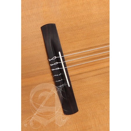 Alhambra Crossover CS-LR CW E1 Cutaway Electrificada