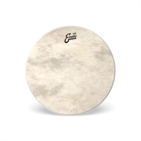 Evans 22" Calftone Resonant BD22CT