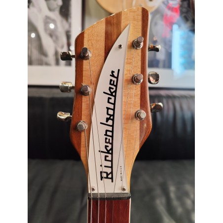 Rickenbacker 381 V69 MG *Used