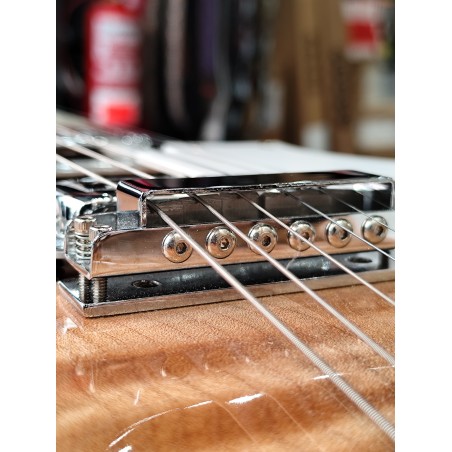 Rickenbacker 381 V69 MG *Used