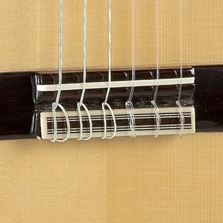 Alhambra 7FC Cipres Funda 25mm