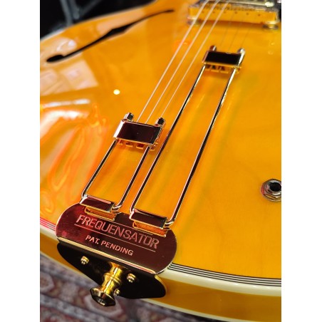 Epiphone Archtop Sheraton *Used
