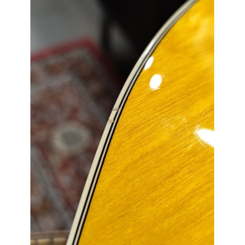 Epiphone Archtop Sheraton *Used
