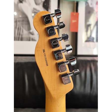Fender Lite Rosewood Telecaster Tele-bration Rw Natural (Rosewood Top and Back) 2011 *Used