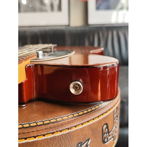 Fender Lite Rosewood Telecaster...