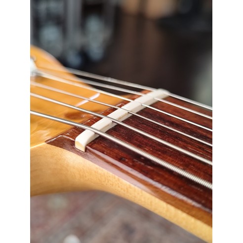 Fender Lite Rosewood Telecaster...