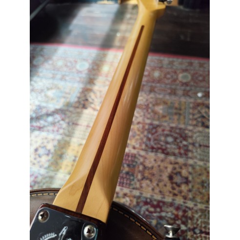 Fender Lite Rosewood Telecaster...
