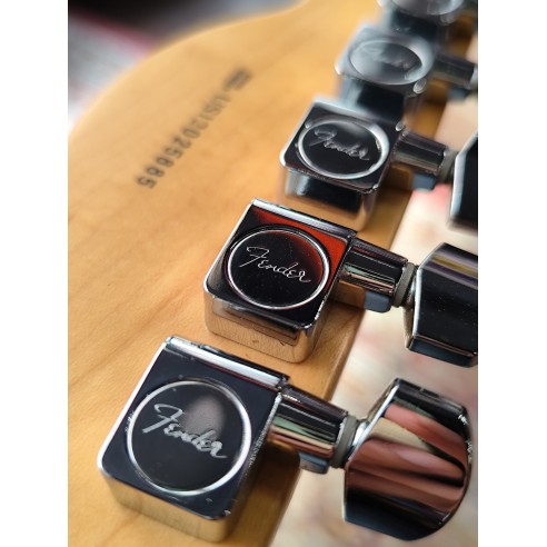 Fender Lite Rosewood Telecaster...