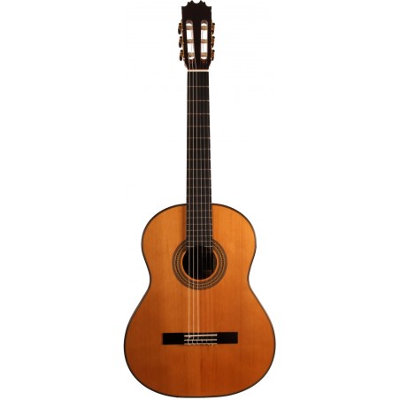 Antonio de Toledo AT-19C Guitarra Clásica en Ziricote con tapa de Cedro