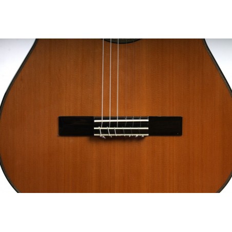Antonio de Toledo AT-14C Guitarra Clásica en Caoba y Tapa de Cedro