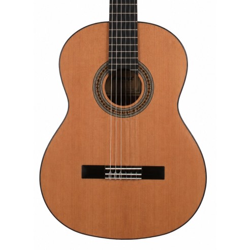 Jose Rincon MM2 Brillo Guitarra...