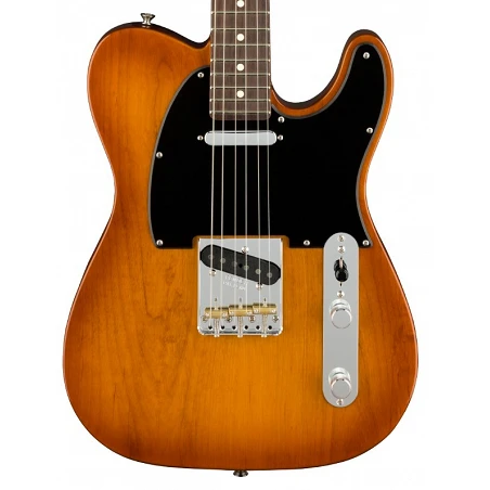 Fender Am Perf Tele Rw Hbst