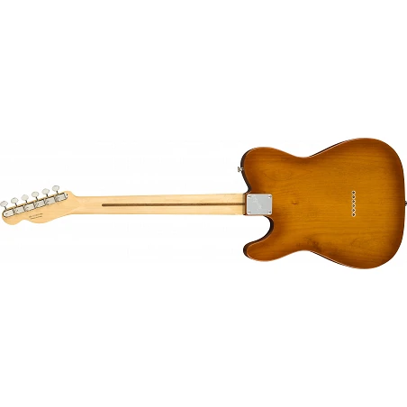 Fender Am Perf Tele Rw Hbst