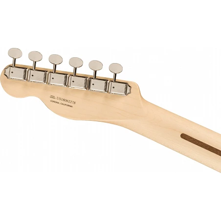 Fender AM Perf Tele HUM RW SFG